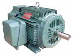 皖南電機 NEP系列高效電機