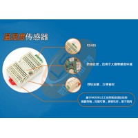 60001-RS485溫濕度傳感器