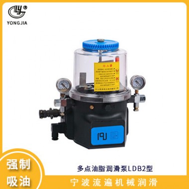 電動多點(diǎn)油脂潤滑泵