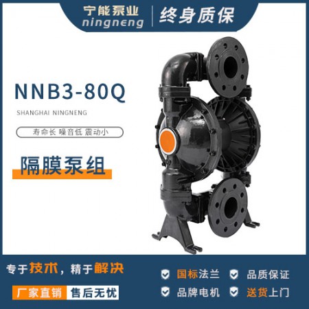 鑄鐵隔膜泵